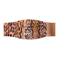 Tiger Beetle Lion Tiger Animals Leopard Stretchable Headband