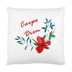 Carpe Diem  Standard Cushion Case (two Sides) by Valentinaart