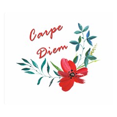 Carpe Diem  Double Sided Flano Blanket (small)  by Valentinaart