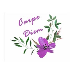 Carpe Diem  Double Sided Flano Blanket (mini)  by Valentinaart