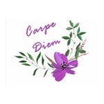 Carpe Diem  Double Sided Flano Blanket (Mini)  35 x27  Blanket Back