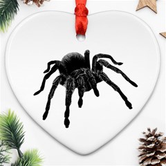 Tarantula Ornament (heart) by Valentinaart