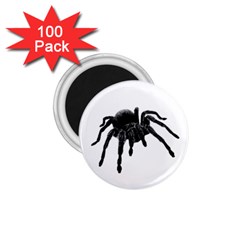 Tarantula 1 75  Magnets (100 Pack)  by Valentinaart