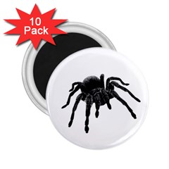 Tarantula 2 25  Magnets (10 Pack)  by Valentinaart