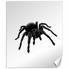 Tarantula Canvas 8  X 10  by Valentinaart