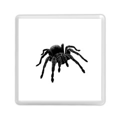 Tarantula Memory Card Reader (square)  by Valentinaart