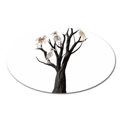 Dead Tree  Oval Magnet by Valentinaart