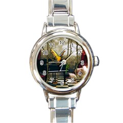 Funny Parrots In A Fantasy World Round Italian Charm Watch by FantasyWorld7