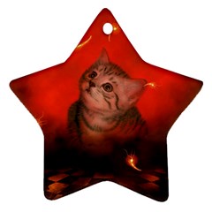 Cute Little Kitten, Red Background Star Ornament (two Sides) by FantasyWorld7