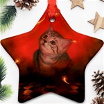 Cute Little Kitten, Red Background Star Ornament (Two Sides) Front