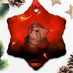 Cute Little Kitten, Red Background Ornament (Snowflake) Front