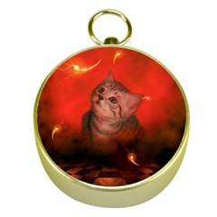 Cute Little Kitten, Red Background Gold Compasses by FantasyWorld7