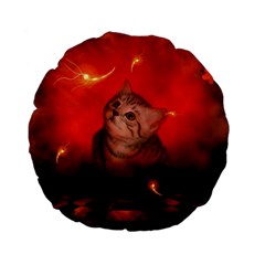 Cute Little Kitten, Red Background Standard 15  Premium Flano Round Cushions by FantasyWorld7