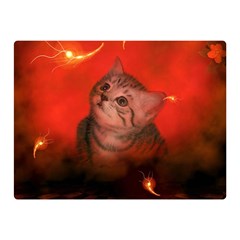 Cute Little Kitten, Red Background Double Sided Flano Blanket (mini)  by FantasyWorld7