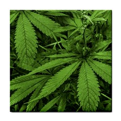 Marijuana Plants Pattern Tile Coasters by dflcprints