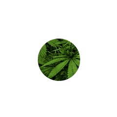 Marijuana Plants Pattern 1  Mini Buttons by dflcprints