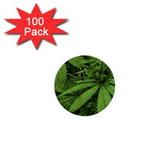 Marijuana Plants Pattern 1  Mini Buttons (100 Pack)  by dflcprints