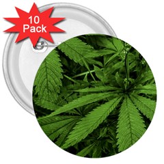 Marijuana Plants Pattern 3  Buttons (10 Pack)  by dflcprints