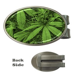 Marijuana Plants Pattern Money Clips (oval)  by dflcprints