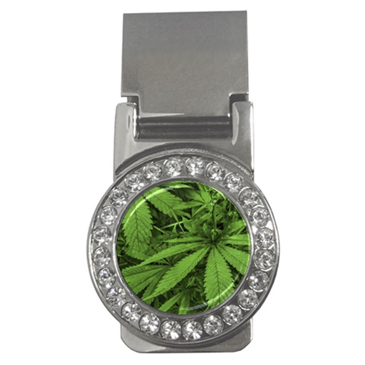 Marijuana Plants Pattern Money Clips (CZ) 