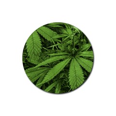 Marijuana Plants Pattern Rubber Round Coaster (4 Pack)  by dflcprints