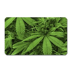 Marijuana Plants Pattern Magnet (rectangular) by dflcprints