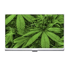 Marijuana Plants Pattern Business Card Holders