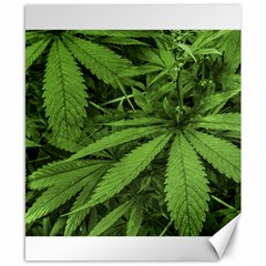 Marijuana Plants Pattern Canvas 8  X 10  by dflcprints