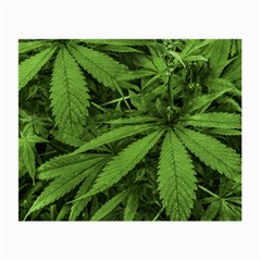 Marijuana Plants Pattern Small Glasses Cloth (2-side) by dflcprints