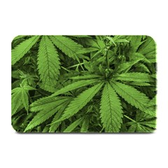 Marijuana Plants Pattern Plate Mats by dflcprints