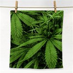 Marijuana Plants Pattern Face Towel Front