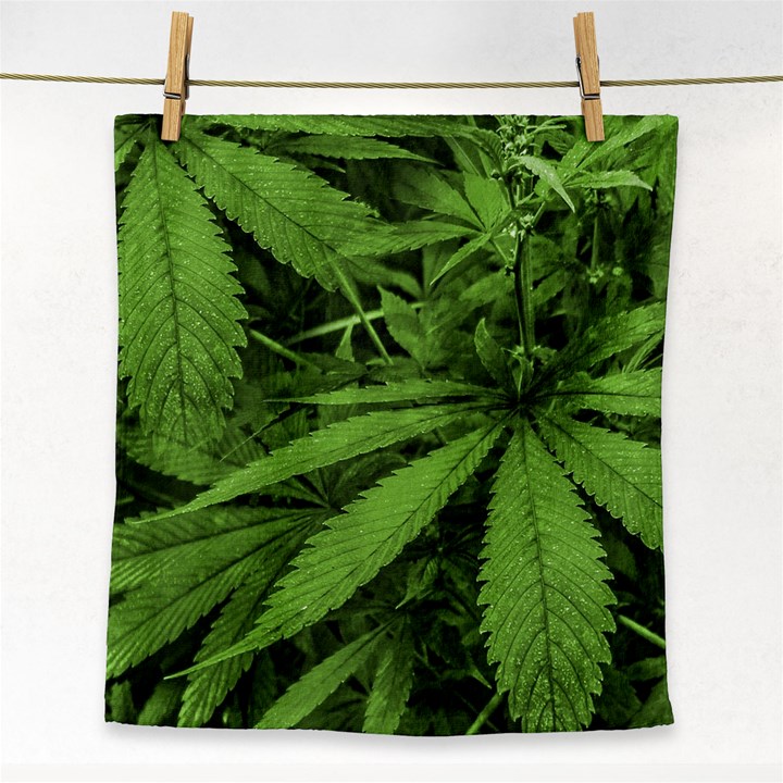 Marijuana Plants Pattern Face Towel