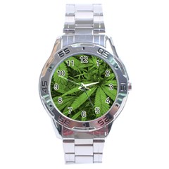 Marijuana Plants Pattern Stainless Steel Analogue Watch by dflcprints