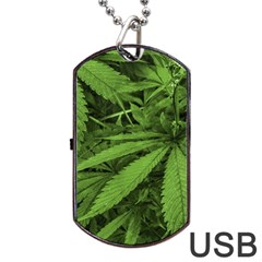 Marijuana Plants Pattern Dog Tag Usb Flash (one Side) by dflcprints