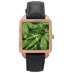 Marijuana Plants Pattern Rose Gold Leather Watch  by dflcprints