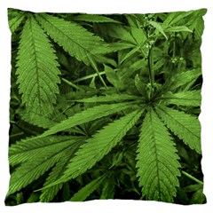 Marijuana Plants Pattern Standard Flano Cushion Case (two Sides) by dflcprints