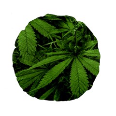 Marijuana Plants Pattern Standard 15  Premium Flano Round Cushions by dflcprints