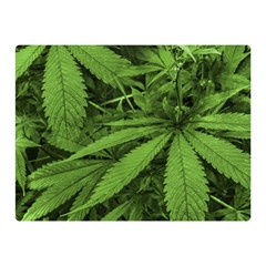 Marijuana Plants Pattern Double Sided Flano Blanket (mini)  by dflcprints