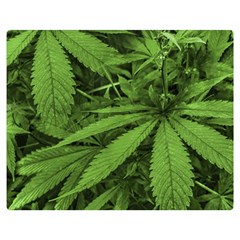 Marijuana Plants Pattern Double Sided Flano Blanket (medium)  by dflcprints