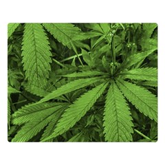 Marijuana Plants Pattern Double Sided Flano Blanket (large)  by dflcprints