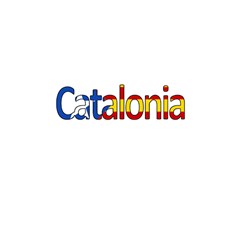 Catalonia Shower Curtain 48  X 72  (small)  by Valentinaart