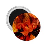 Ablaze With Beautiful Fractal Fall Colors 2.25  Magnets Front