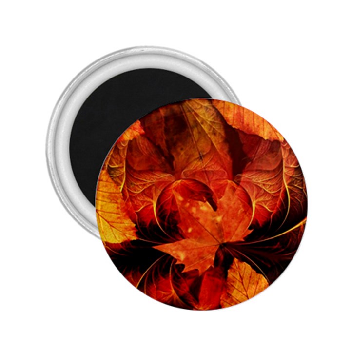 Ablaze With Beautiful Fractal Fall Colors 2.25  Magnets