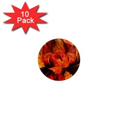 Ablaze With Beautiful Fractal Fall Colors 1  Mini Magnet (10 Pack)  by jayaprime