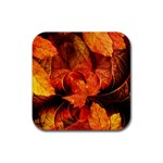 Ablaze With Beautiful Fractal Fall Colors Rubber Coaster (Square)  Front