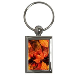 Ablaze With Beautiful Fractal Fall Colors Key Chains (rectangle)  by jayaprime