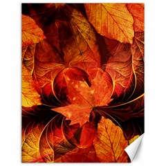 Ablaze With Beautiful Fractal Fall Colors Canvas 12  X 16   by jayaprime