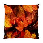 Ablaze With Beautiful Fractal Fall Colors Standard Cushion Case (Two Sides) Back