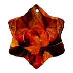 Ablaze With Beautiful Fractal Fall Colors Snowflake Ornament (Two Sides) Front