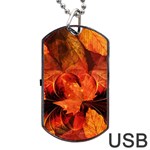 Ablaze With Beautiful Fractal Fall Colors Dog Tag USB Flash (One Side) Front